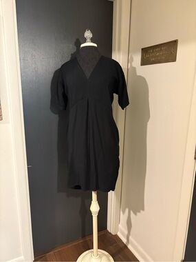 Whistles Black V-Neck Mini Dress with draped pockets
